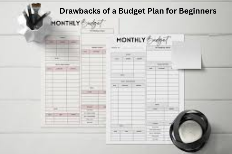 Drawbacks of a Budget Plan for Beginners